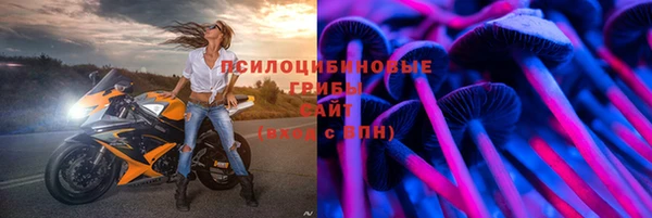 apvp Верхний Тагил