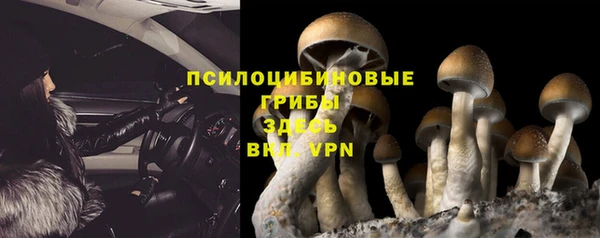 PSILOCYBIN Верхнеуральск