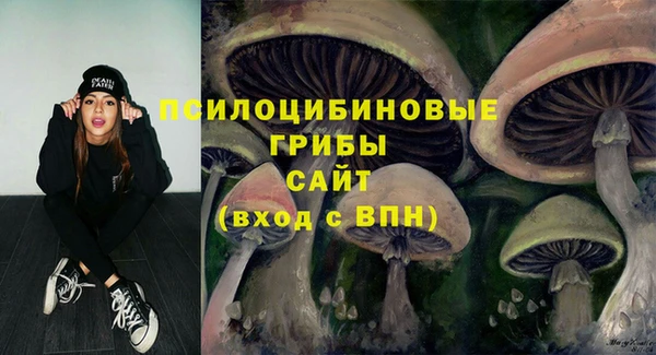 соль ск Верея