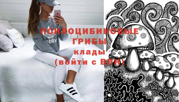 соль ск Верея
